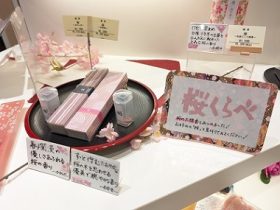 桜くらべ　サムネ0221
